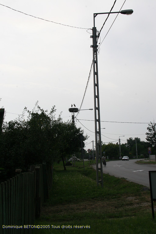 ROU_050803-151258