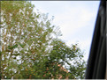 ROU_050803-164022G5