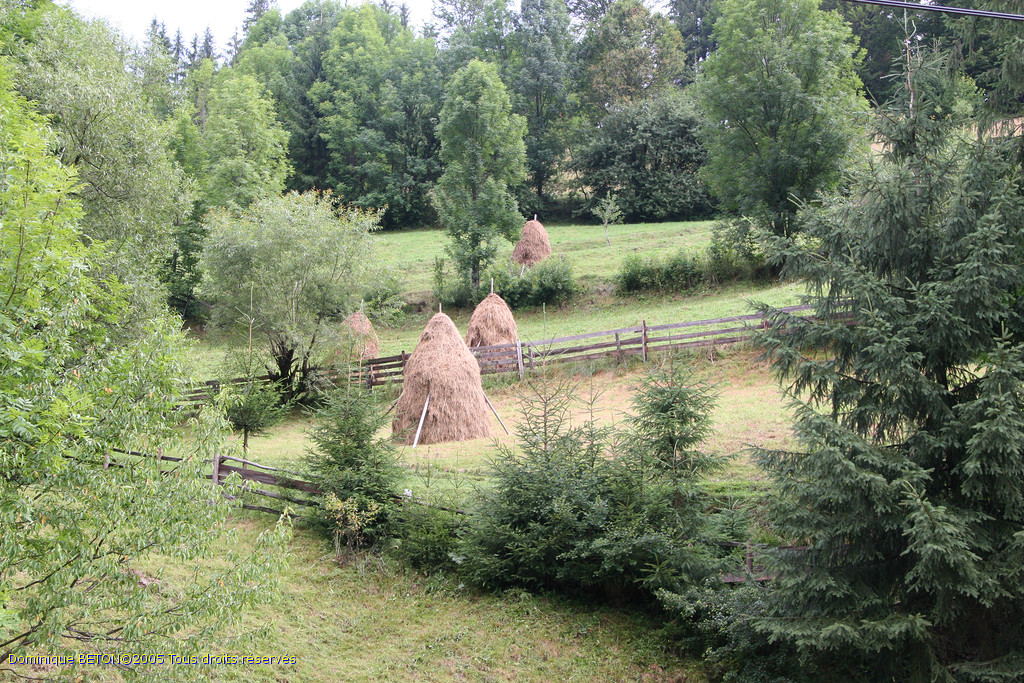 ROU_050805-092524