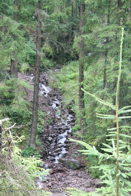 ROU_050805-093244