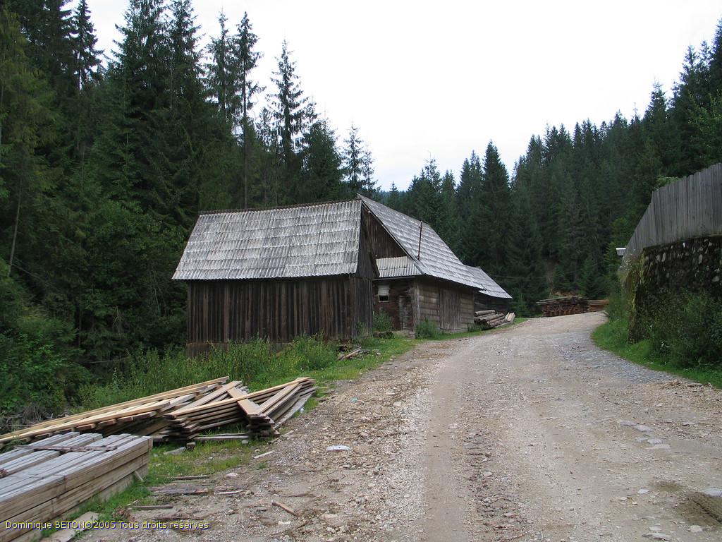 ROU_050805-095328G5