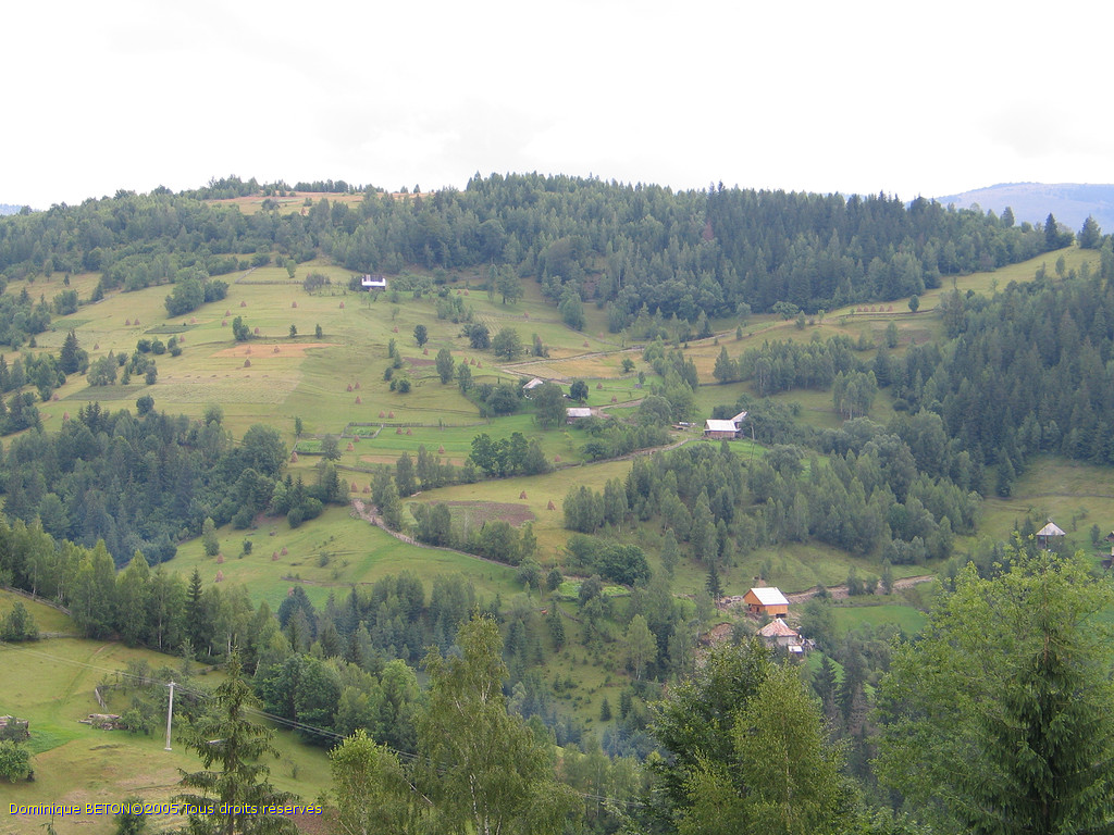 ROU_050805-095832G5