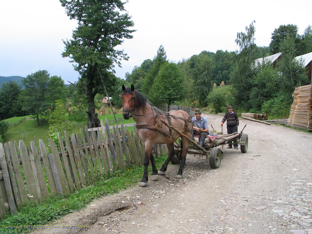 ROU_050805-100858G5