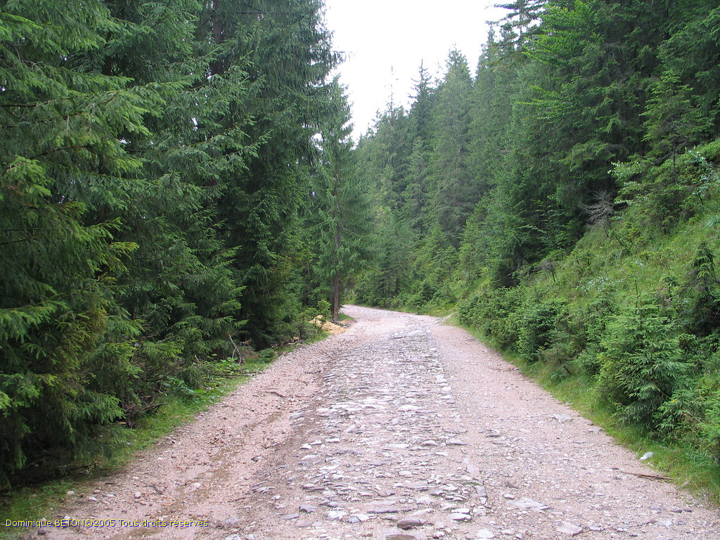 ROU_050805-101952G5