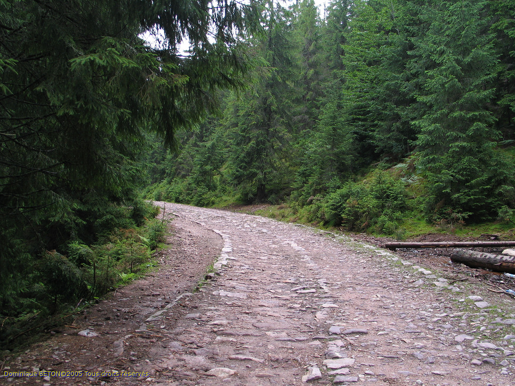 ROU_050805-103154G5