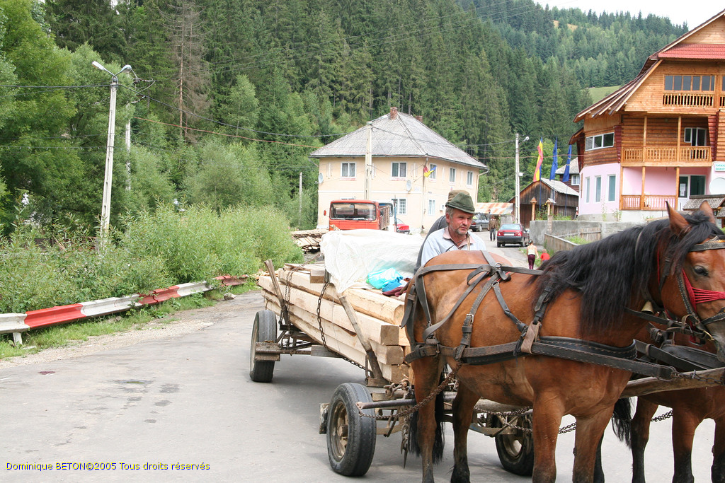 ROU_050805-103336