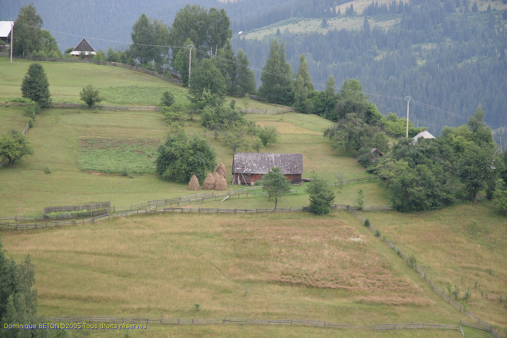 ROU_050805-104704