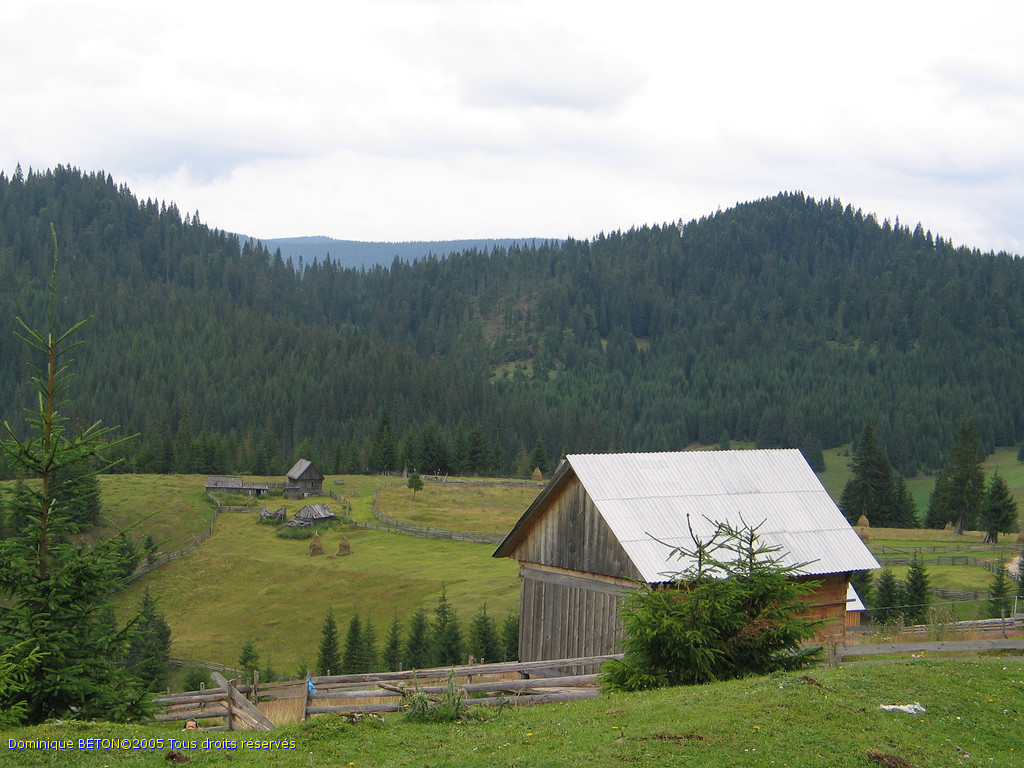 ROU_050805-104752G5
