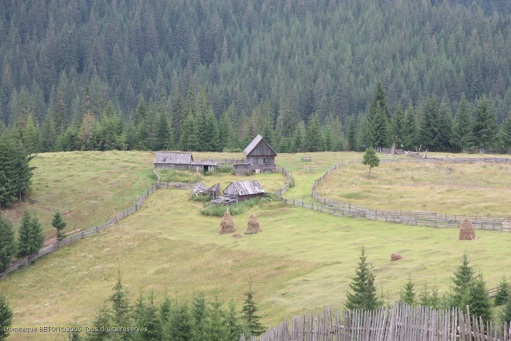ROU_050805-113758