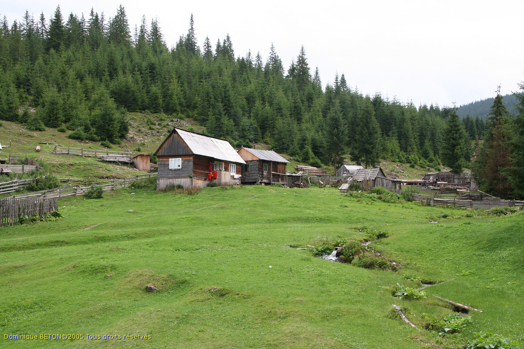 ROU_050805-114800