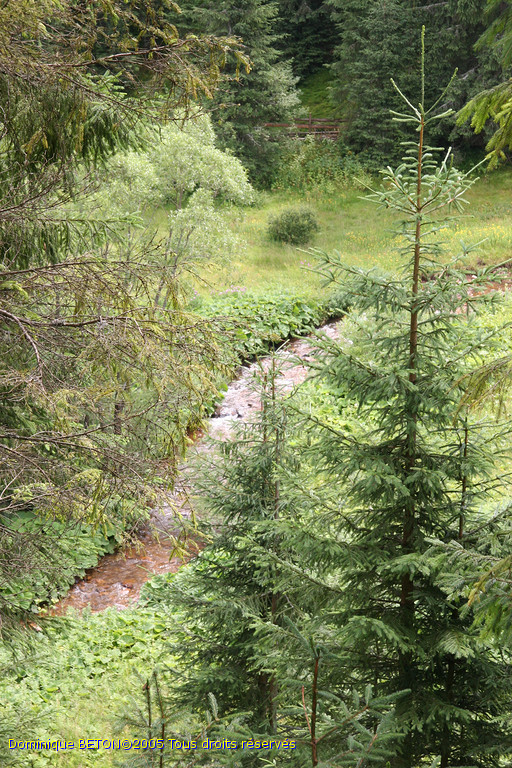 ROU_050805-115336