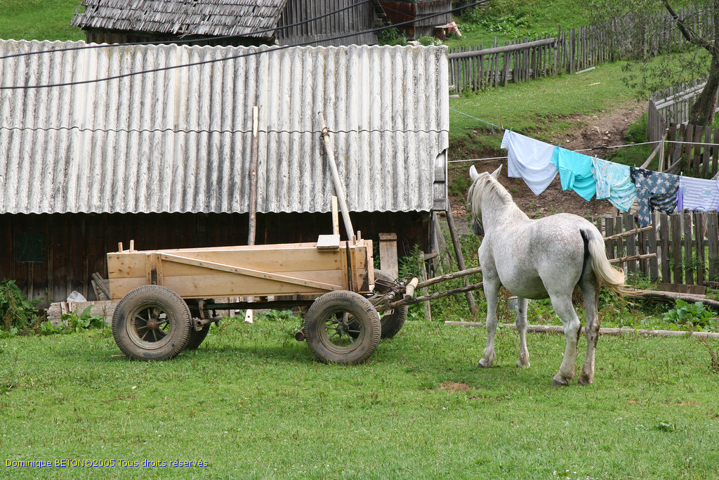 ROU_050805-115854