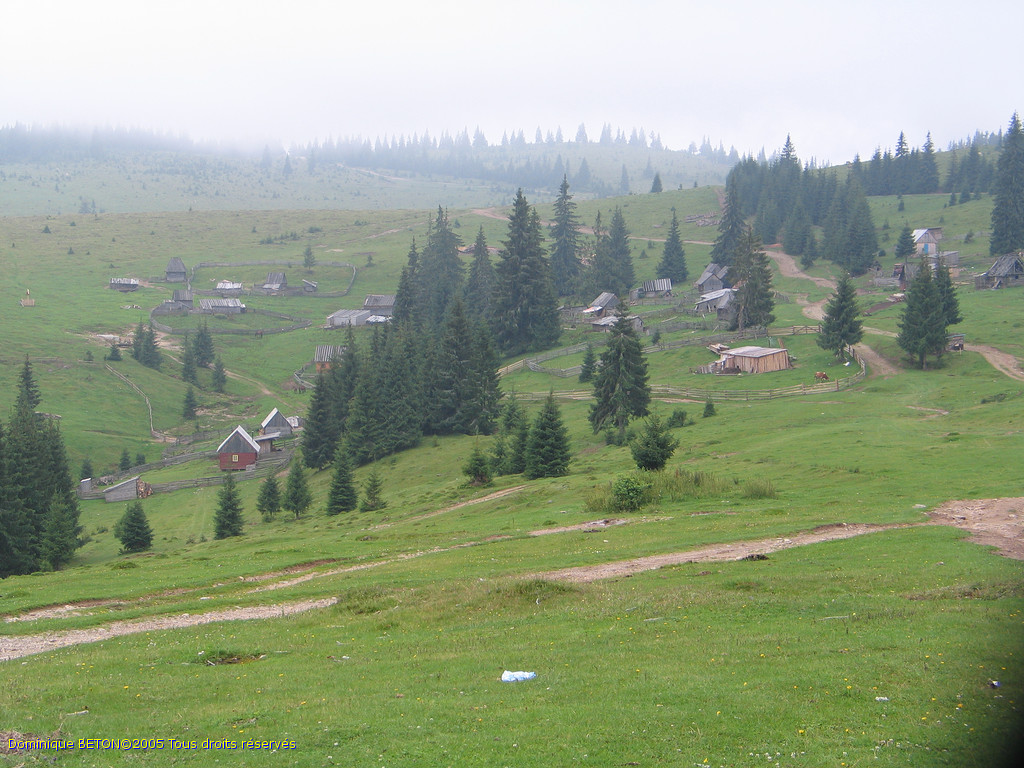 ROU_050805-131544G5