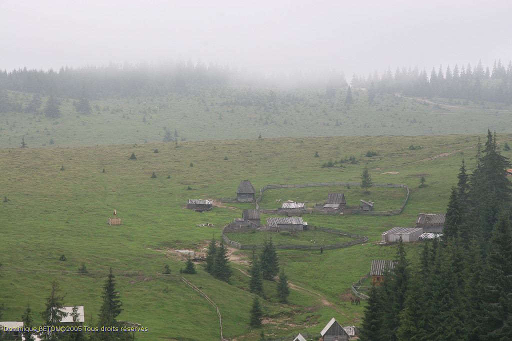 ROU_050805-140438