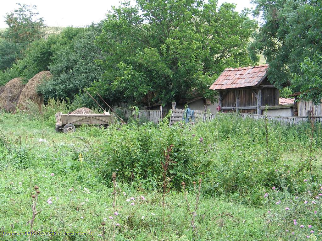 ROU_050806-112552G5