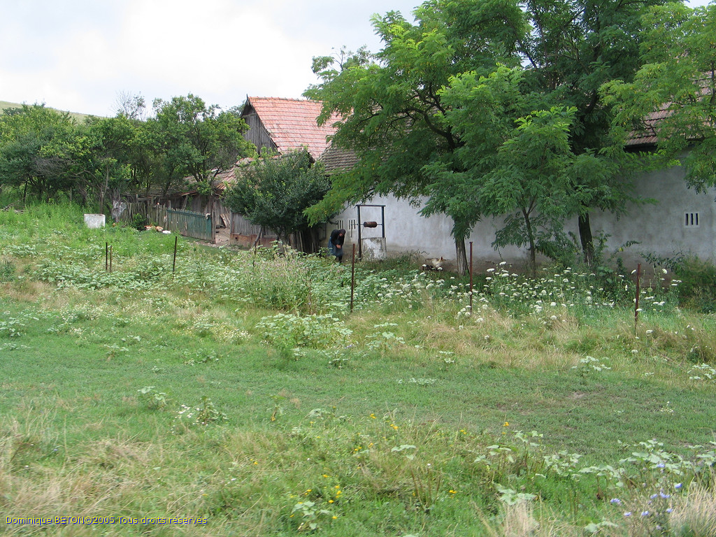ROU_050806-112806G5