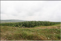 ROU_050806-113458