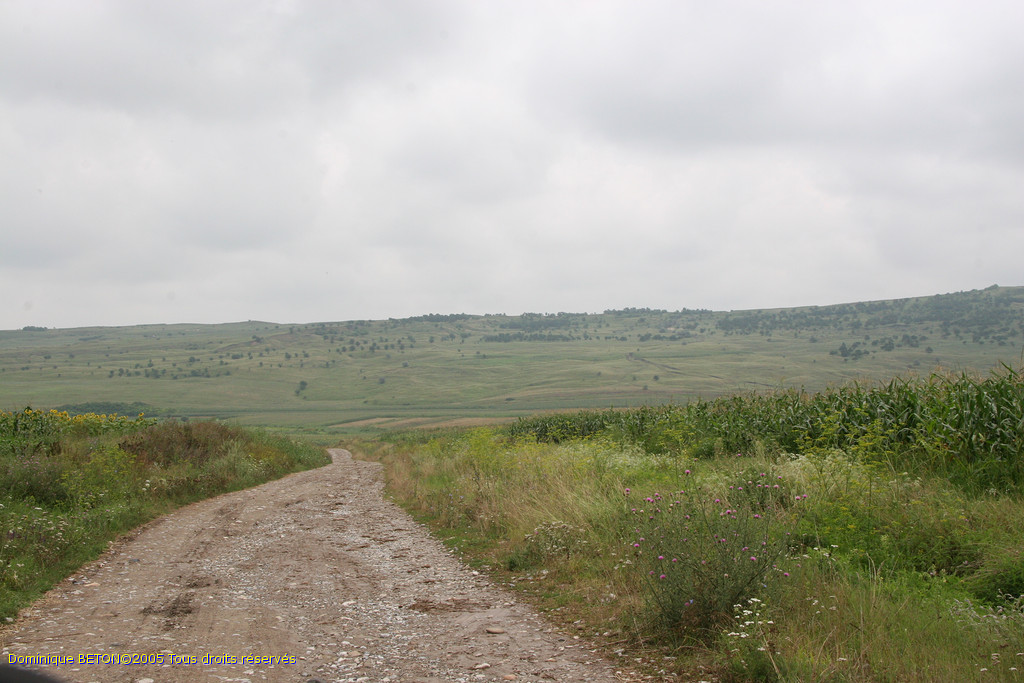 ROU_050806-113516