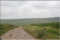 ROU_050806-113516