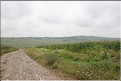 ROU_050806-113520