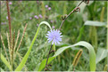 ROU_050806-113914