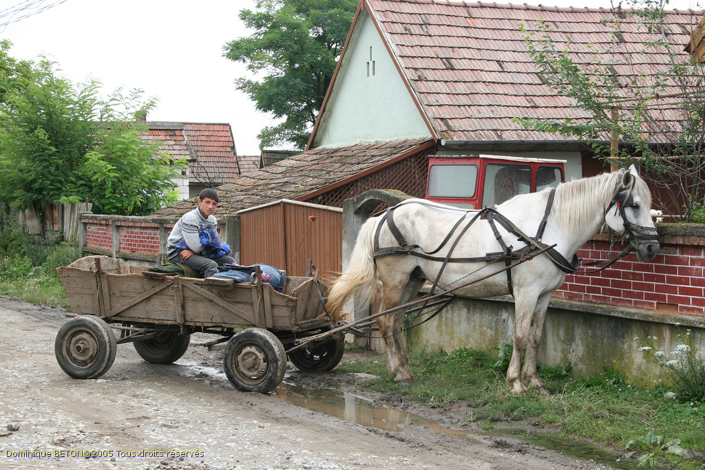 ROU_050806-115206