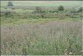 ROU_050806-115658