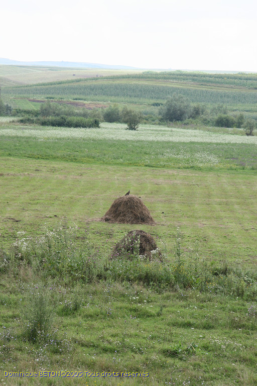ROU_050806-122238