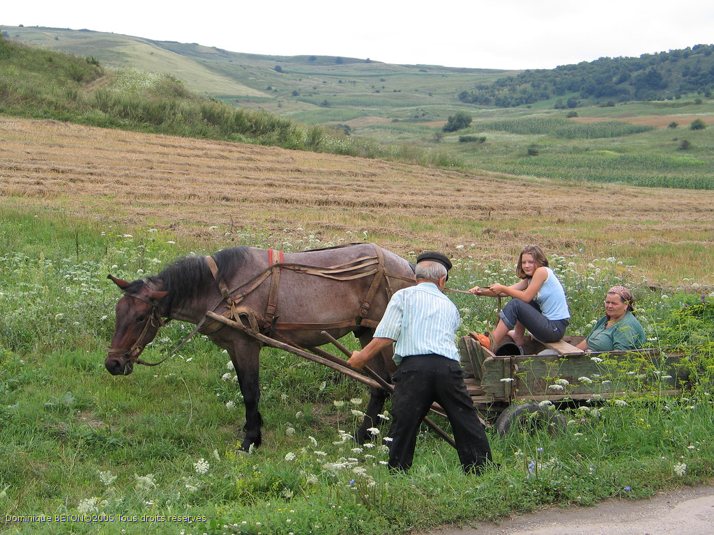 ROU_050806-131822G5