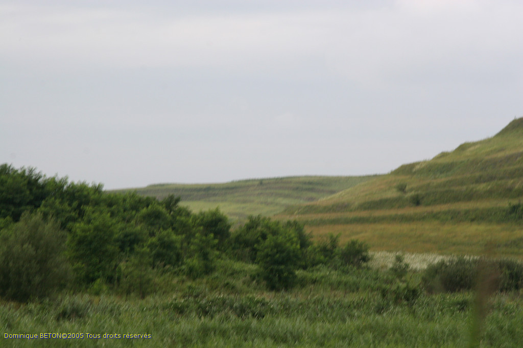 ROU_050806-150614