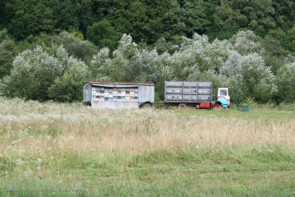 ROU_050808-142848