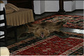ROU_050808-153320