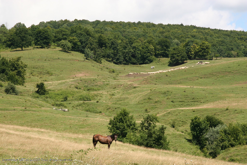 ROU_050809-115750