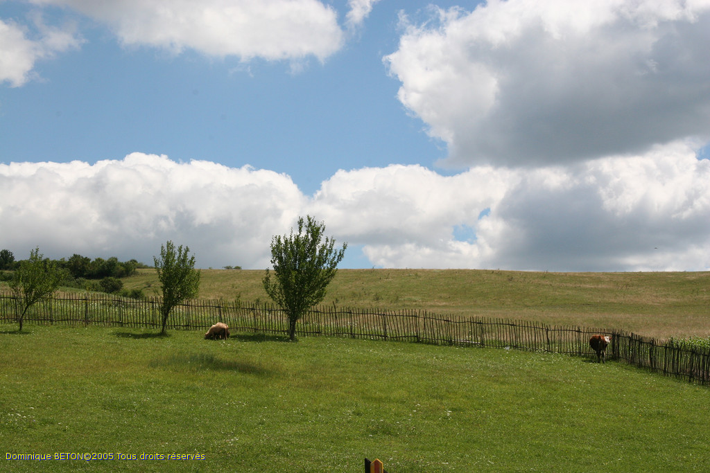 ROU_050809-121436