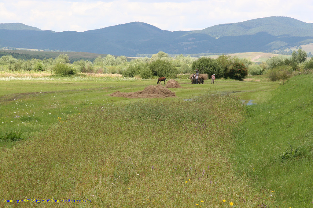 ROU_050809-122924
