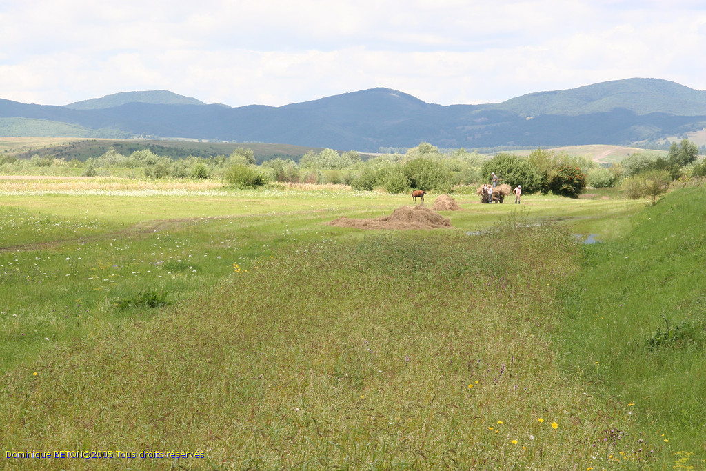 ROU_050809-122932