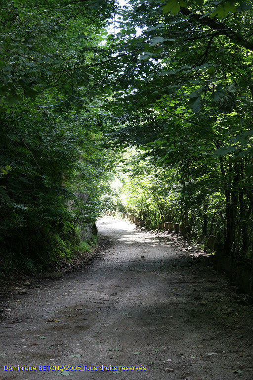 ROU_050809-143614
