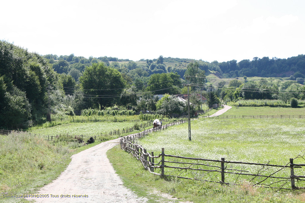 ROU_050809-145756