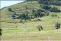ROU_050809-151212