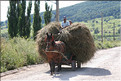 ROU_050809-151348