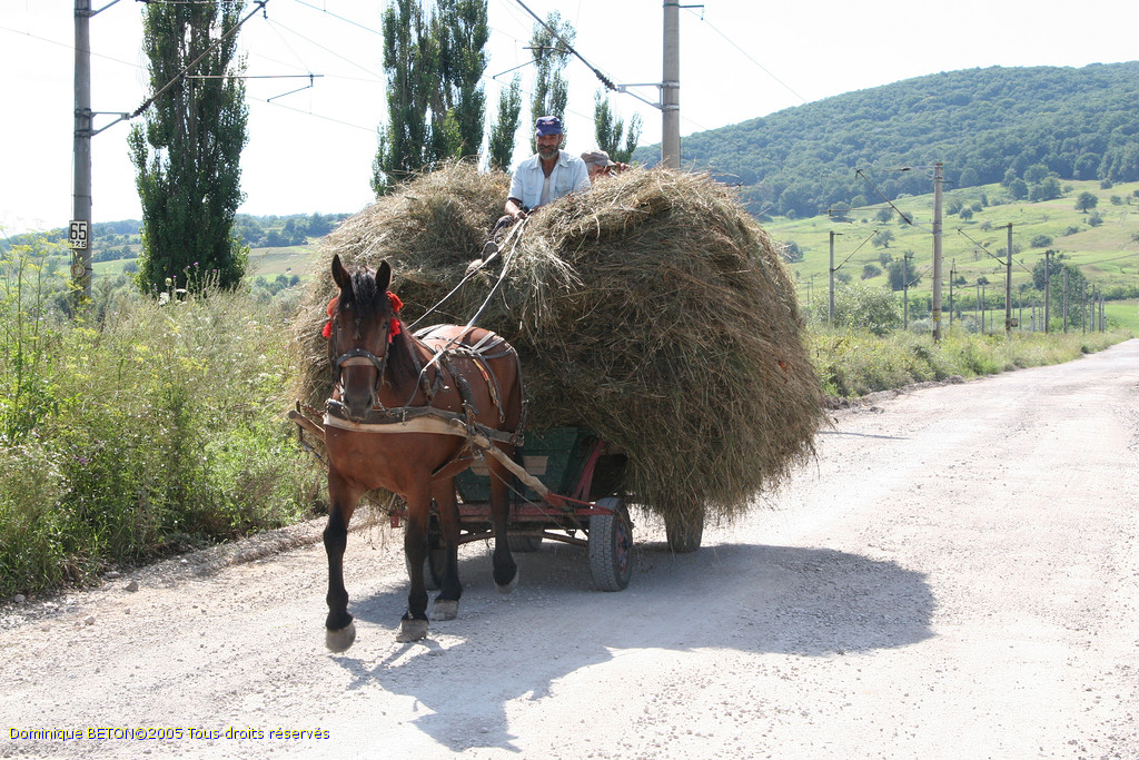 ROU_050809-151352