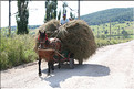 ROU_050809-151352