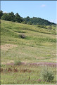 ROU_050809-151508