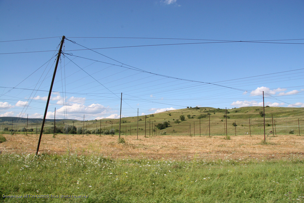 ROU_050809-155506