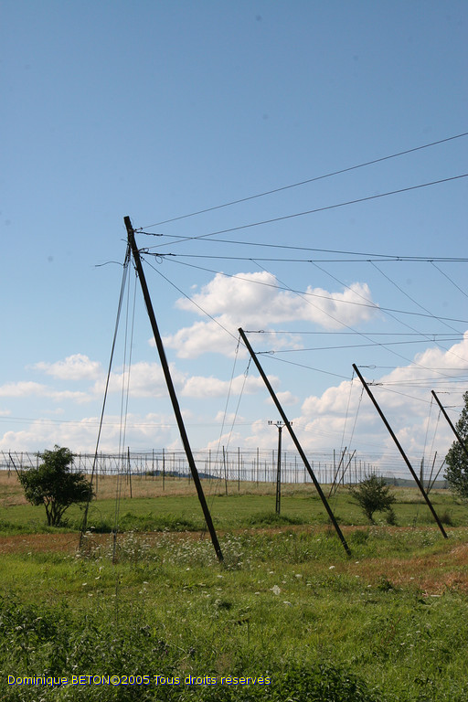 ROU_050809-155528