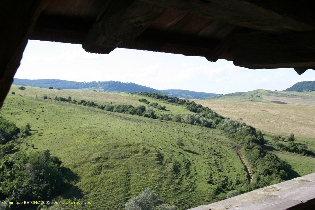 ROU_050809-162728