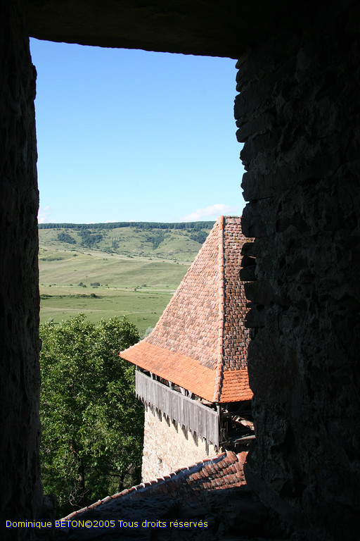 ROU_050809-163112