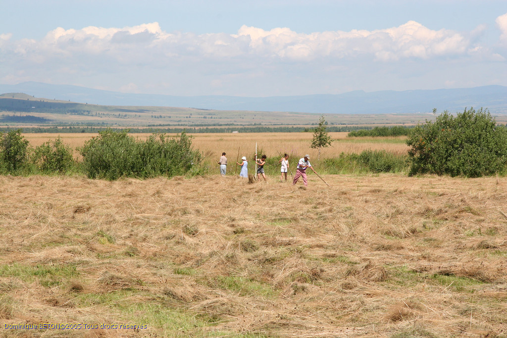 ROU_050810-112302