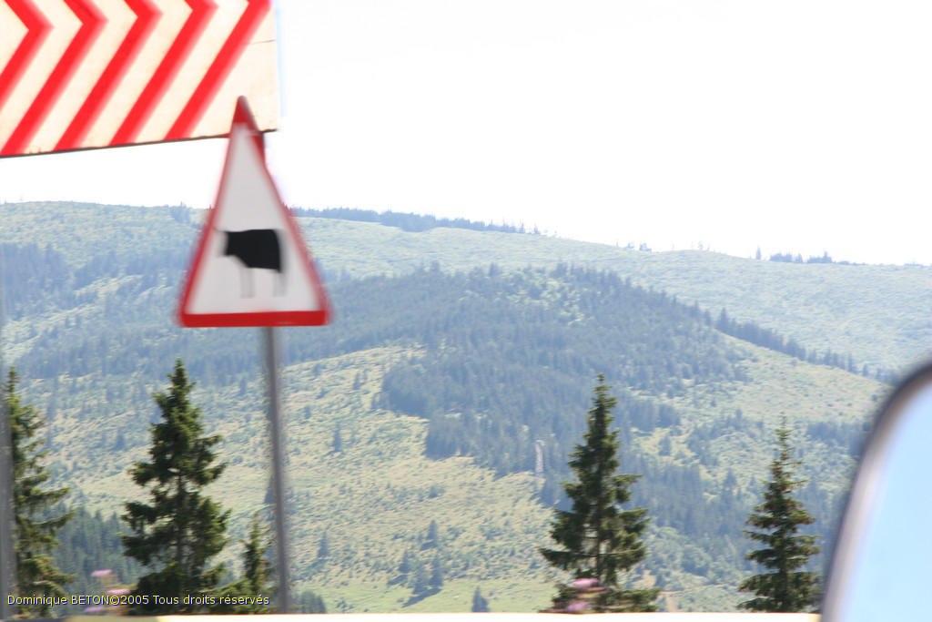 ROU_050810-133810
