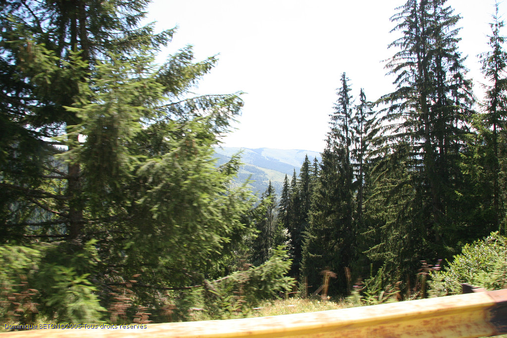 ROU_050810-134012